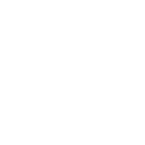 Ferovy Influencer logo